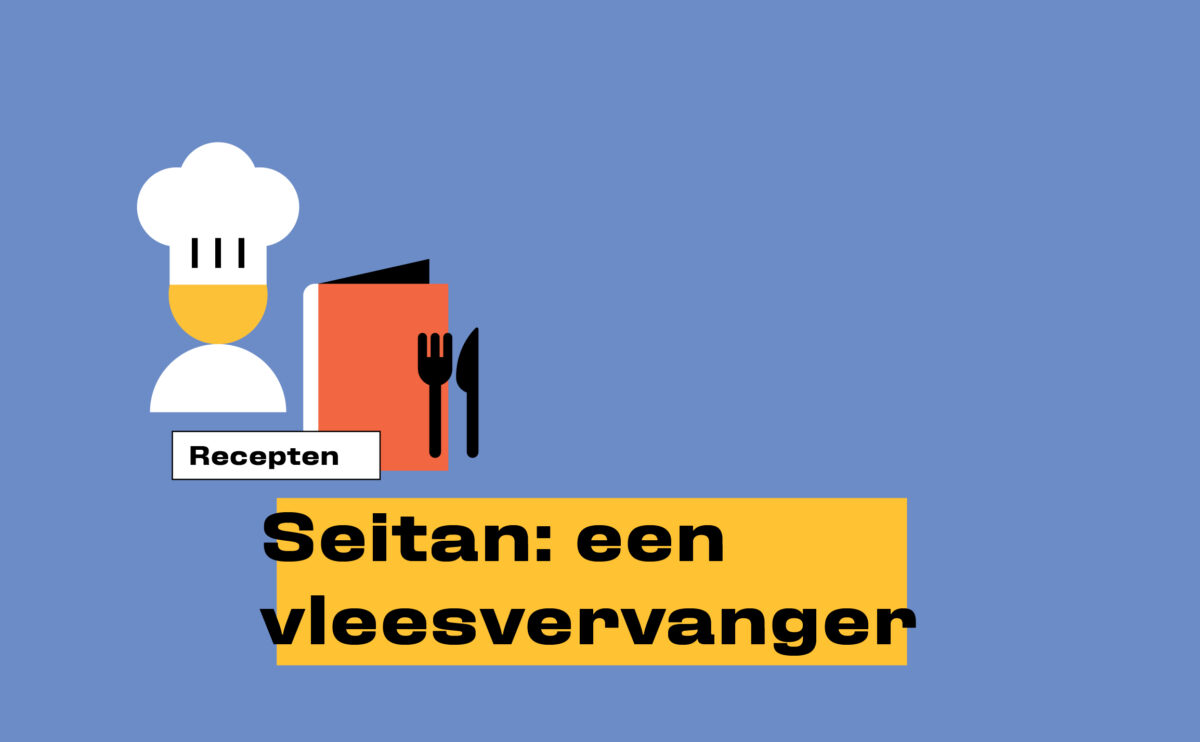 KEUK_recepten_1108x685_Seitan een vleesvervanger_Seitan een vleesvervanger